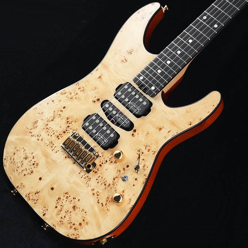 SCHECTER Limited Model NV-DX-24-MH-VTR/E (Mappa Burl)の画像